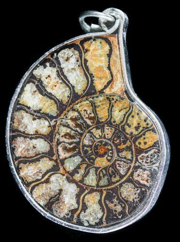 Moroccan Ammonite Fossil Pendant #58361
